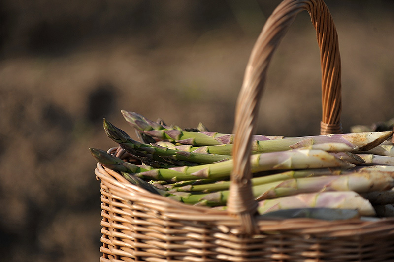 basket-of-fresh-asparagus