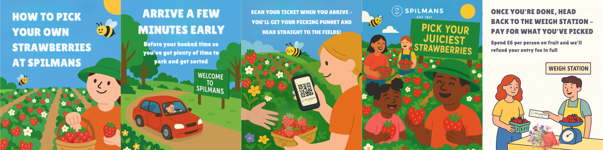how-to-pick-strawberries-at-spilmans